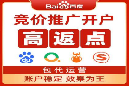 百度竞价排名实战：关键词优化与落地页优化案例